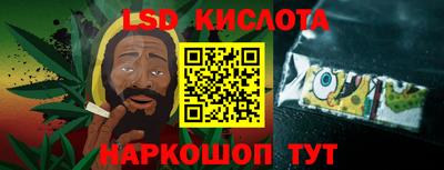 шишки Будённовск