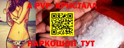 шишки Будённовск